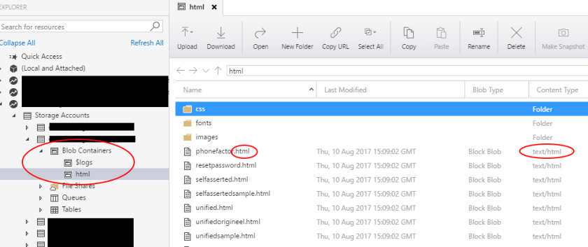 ContentTypeStorageExplorer